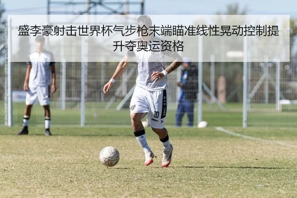 盛李豪射击世界杯气步枪末端瞄准线性晃动控制提升夺奥运资格